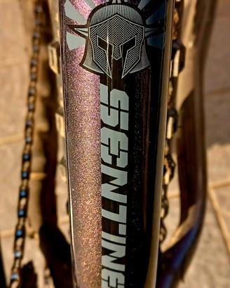 DaBomb Sentinel 29er