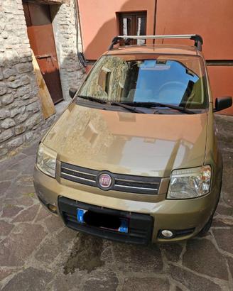 Fiat Panda 1.2 benzina 4x4