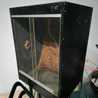 TERRARIO GECHI O ARBORICOLI
