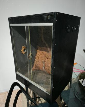 TERRARIO GECHI O ARBORICOLI