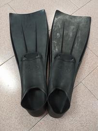 pinne sub mares 