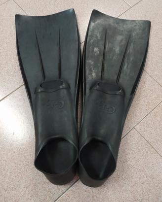 pinne sub mares 