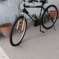 Bici da 26