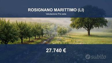 Immobile in asta di 149185 m² a Rosignano Marittim