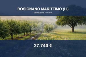 Immobile in asta di 149185 m² a Rosignano Marittim