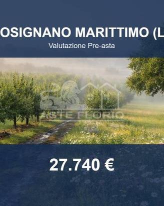 Immobile in asta di 149185 m² a Rosignano Marittim