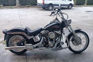Harley Davidson Softail Custom