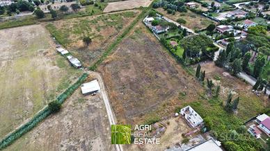 Sabaudia (LT) - Terreno agricolo 1,6 ha | TR433