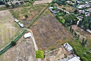 Sabaudia (LT) - Terreno agricolo 1,6 ha | TR433