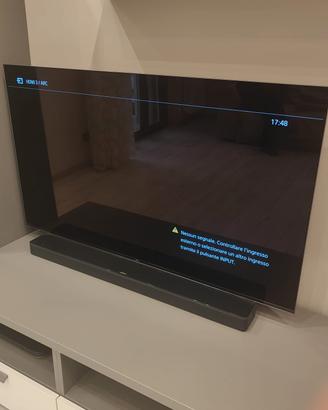 Smart TV sony 55 OLED AF8