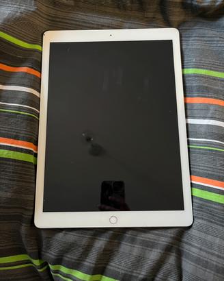 Ipad pro 12.9