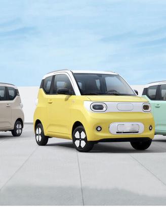 Altro Altro DESNER W300 ELETTRICA 4 POSTI 215km au