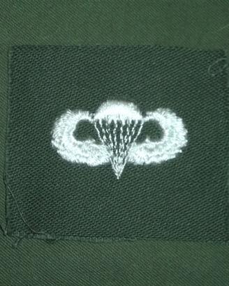 Original Us Army Vietnam Era Parachutiste Badge