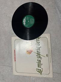 Vinile 33 giri teppisti dei sogni