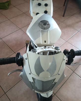 Minimoto Polini 