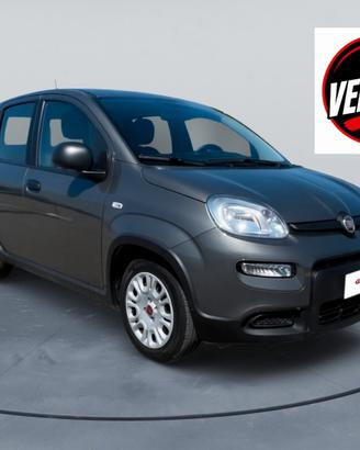 Fiat Panda 1.0 FireFly S&S Hybrid Km 25600