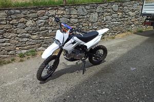 PT Bike 140