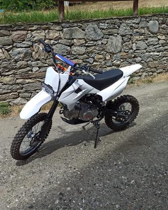 PT Bike 140