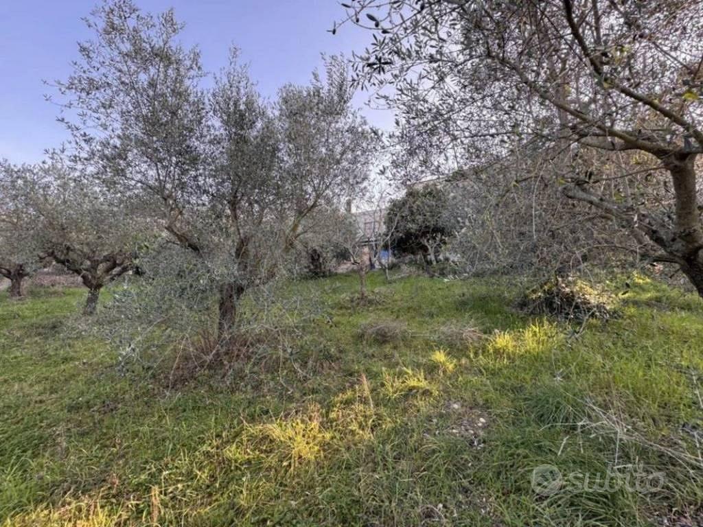 Immobile in asta di 4660 m² a Corropoli - Vista 3