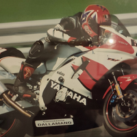 Yamaha R6 pista