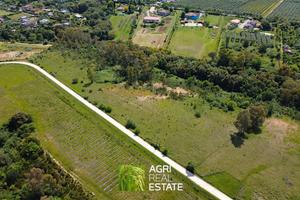 Terreno agricolo 2,8 HA | TR403