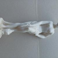 Statuetta Venere pudica