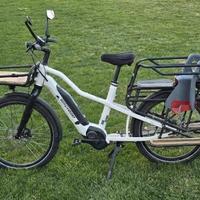 Cargo bike Bergamont E-Cargoville LT Expert