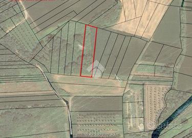 TER. AGRICOLO A MAZZÈ