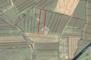 TER. AGRICOLO A MAZZÈ