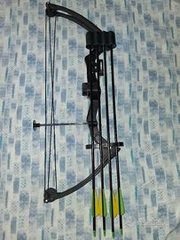 arco professionale 