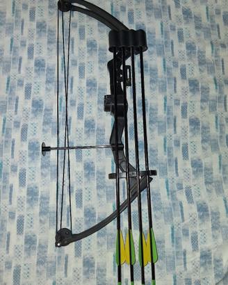 arco professionale 