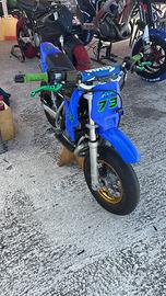 Minimotard polini