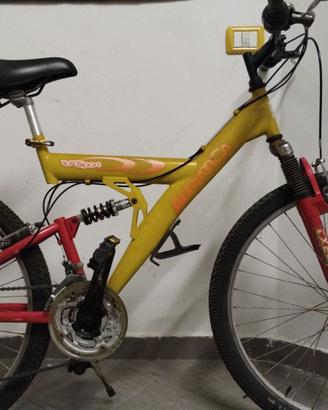 Bicicletta MTB