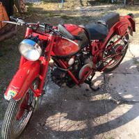 Moto Guzzi Airone Sport