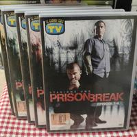 raccolta DVD serie prison break