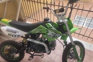 Motori