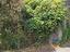 Immagine 11