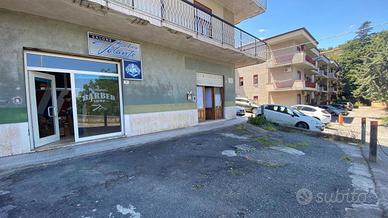 Negozio Patti [P1072A-1ACG]