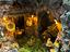Immagine 6
