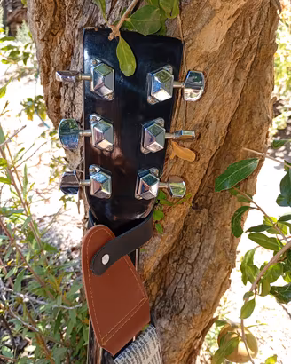 Chitarra acustica 