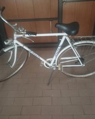 Bici Atala uomo