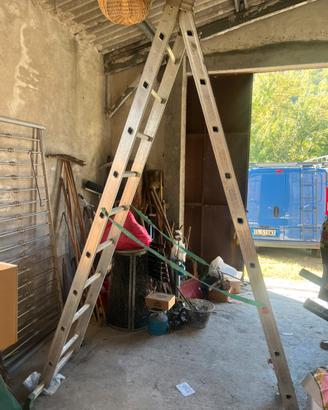 Scala professionale FACAL DAMA D290-2