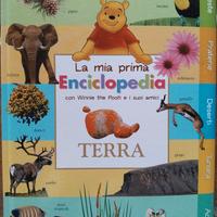 la mia prima enciclopedia di winnie the pooh 