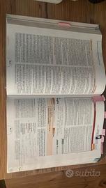 Letteratura.it 3b – L'età della crisi – Pearson