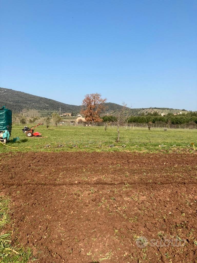 Terreno Agricolo 1,3Ha con attrezzatura - Grosseto - Vista 4