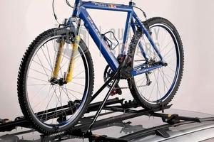 Noleggio PORTABICI da Tetto Auto con Antifurto