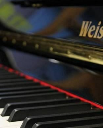 Weisbach 118JS con sistema silent