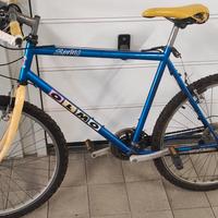 Bicicletta Olmo