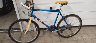 Bicicletta Olmo