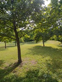 Terreno edificabile zona Preval